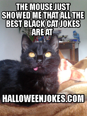the-mouse-just-showed-me-that-all-the-best-black-cat-jokes-are-at-halloweenjokes