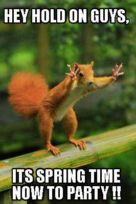 Meme Creator Funny Hey Hold On Guys Its Spring Time Now To Party Meme Generator At Memecreator Org Meme Creator Funny Hey Hold On Guys Its Spring Time Now To Party Meme Generator At Memecreator Org