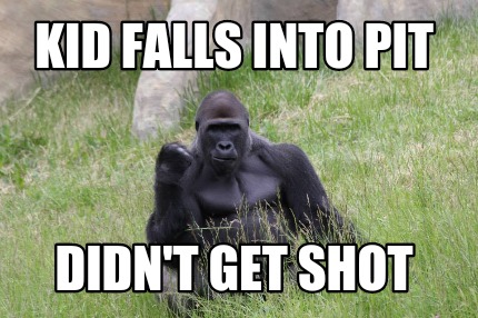 kid-falls-into-pit-didnt-get-shot