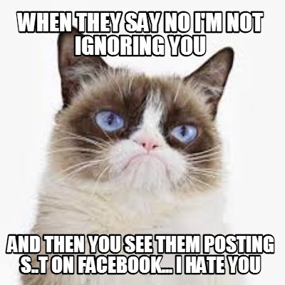 when-they-say-no-im-not-ignoring-you-and-then-you-see-them-posting-s..t-on-faceb
