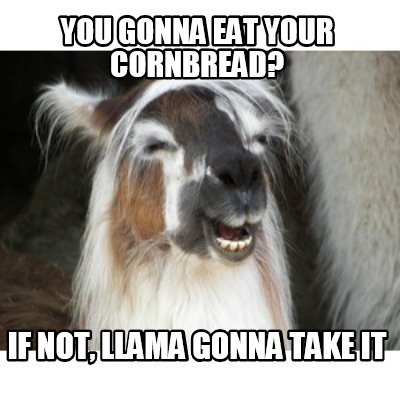 you-gonna-eat-your-cornbread-if-not-llama-gonna-take-it