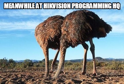 meanwhile-at-hikvision-programming-hq