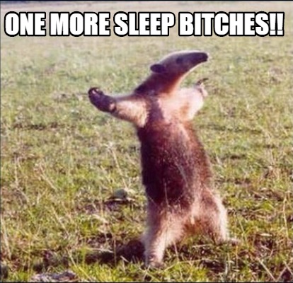 Meme Creator Funny One More Sleep Bitches Meme Generator At Memecreator Org