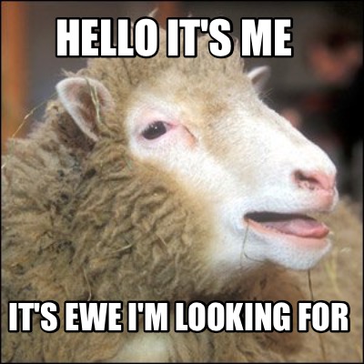 hello-its-me-its-ewe-im-looking-for