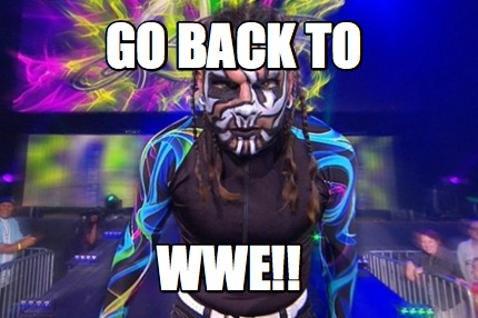go-back-to-wwe