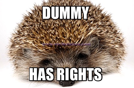 dummy-has-rights