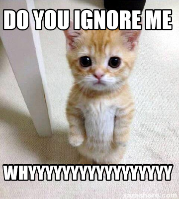 Meme Creator - Funny do you ignore me whyyyyyyyyyyyyyyyyy Meme