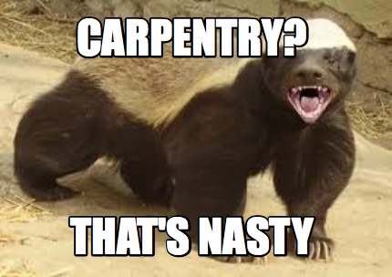 carpentry-thats-nasty