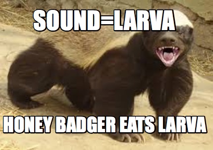 soundlarva-honey-badger-eats-larva