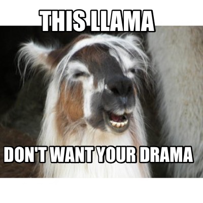 this-llama-dont-want-your-drama