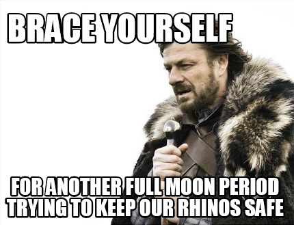 brace-yourself-for-another-full-moon-period-trying-to-keep-our-rhinos-safe