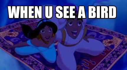 when-u-see-a-bird