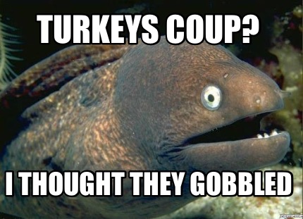 turkeys-coup-i-thought-they-gobbled