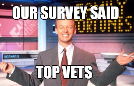 our-survey-said-top-vets