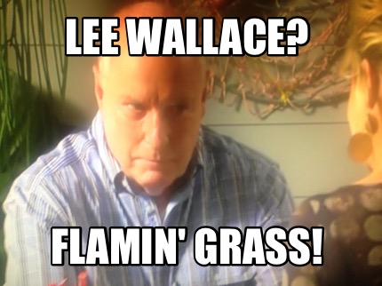 lee-wallace-flamin-grass