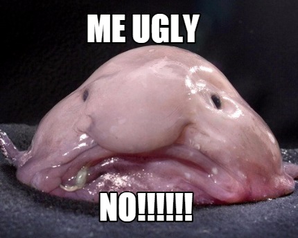 me-ugly-no