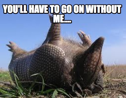 youll-have-to-go-on-without-me