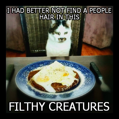 i-had-better-not-find-a-people-hair-in-this-filthy-creatures