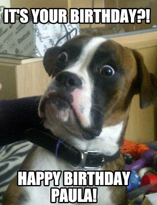 Meme Creator - Funny It's your Birthday?! Happy Birthday Paula! Meme ...