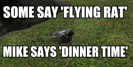some-say-flying-rat-mike-says-dinner-time