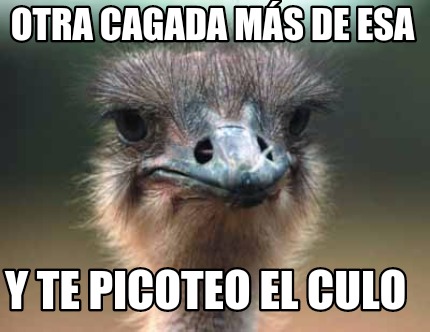 y-te-picoteo-el-culo-otra-cagada-ms-de-esa