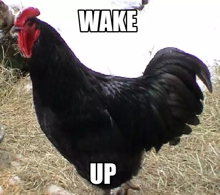 wake-up72