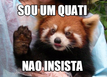 sou-um-quati-nao-insista