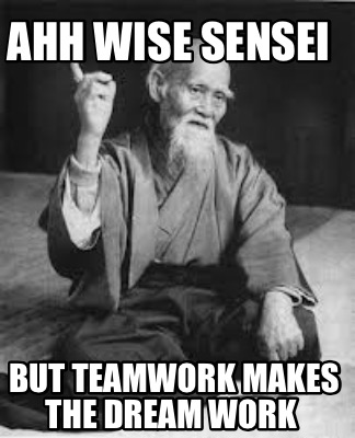 ahh-wise-sensei-but-teamwork-makes-the-dream-work