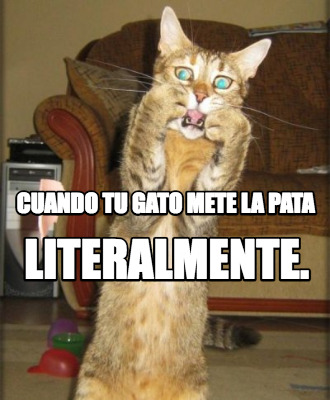 cuando-tu-gato-mete-la-pata-literalmente