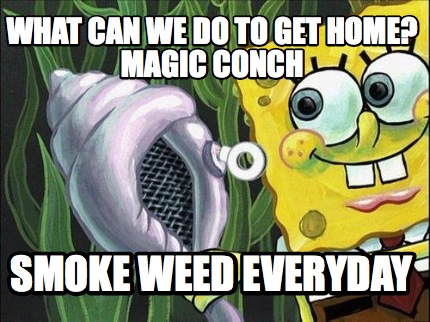 what-can-we-do-to-get-home-magic-conch-smoke-weed-everyday
