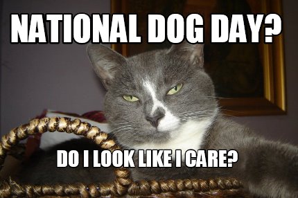 national-dog-day-do-i-look-like-i-care