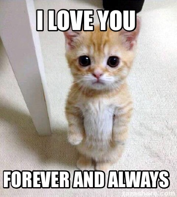Meme Creator Funny I Love You Forever And Always Meme Generator At Memecreator Org Meme Creator Funny I Love You Forever And Always Meme Generator At Memecreator Org