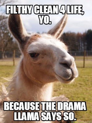 filthy-clean-4-life-yo.-because-the-drama-llama-says-so