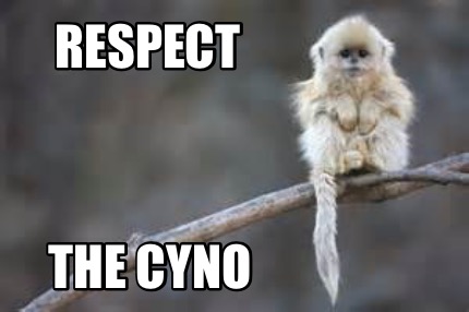 respect-the-cyno