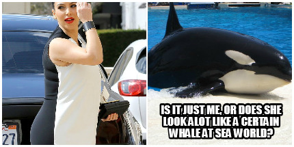 is-it-just-me-or-does-she-look-alot-like-a-certain-whale-at-sea-world