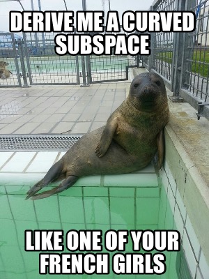 derive-me-a-curved-subspace-like-one-of-your-french-girls
