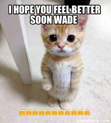 Meme Creator - Funny I hope you feel better soon Wade