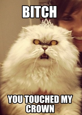 bitch-you-touched-my-crown