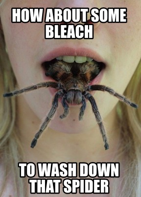 how-about-some-bleach-to-wash-down-that-spider