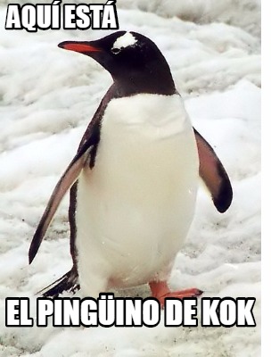 aqu-est-el-pingino-de-kok