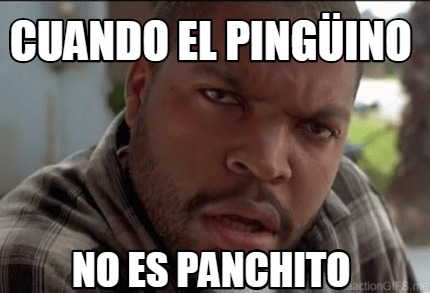 cuando-el-pingino-no-es-panchito