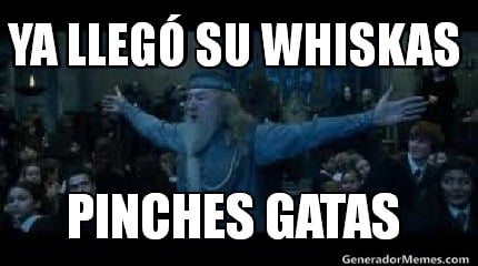 ya-lleg-su-whiskas-pinches-gatas1