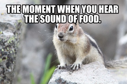 the-moment-when-you-hear-the-sound-of-food