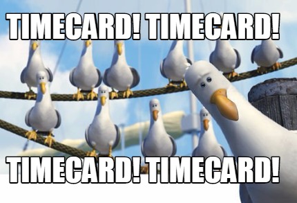 timecard-timecard-timecard-timecard