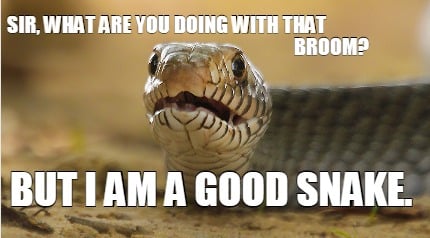 sir-what-are-you-doing-with-that-broom-but-i-am-a-good-snake