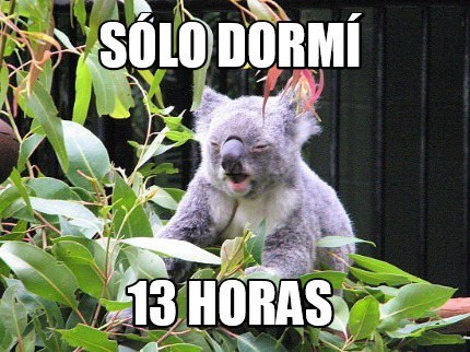 slo-dorm-13-horas
