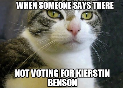 when-someone-says-there-not-voting-for-kierstin-benson