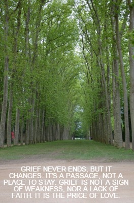 grief-never-ends-but-it-changes.-its-a-passage-not-a-place-to-stay.-grief-is-not6