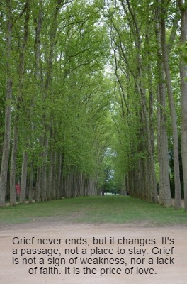 grief-never-ends-but-it-changes.-its-a-passage-not-a-place-to-stay.-grief-is-not7
