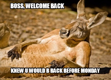 Meme Creator - Funny Boss, welcome back knew u would b back before monday Meme Generator at ! Meme Creator - Funny Boss, welcome back knew u would b back before monday Meme Generator at !